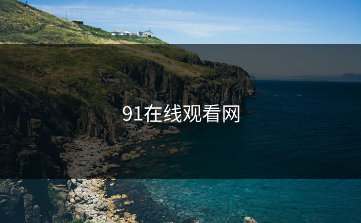 91在线观看网