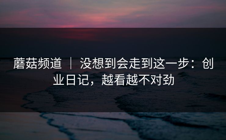 蘑菇频道 ｜ 没想到会走到这一步：创业日记，越看越不对劲