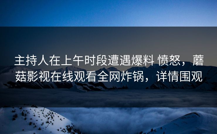 主持人在上午时段遭遇爆料 愤怒，蘑菇影视在线观看全网炸锅，详情围观